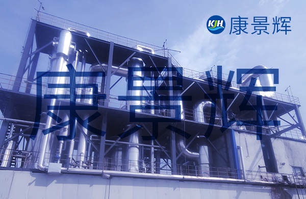0.55t/h氨基酸料液雙效蒸發(fā)結晶系統