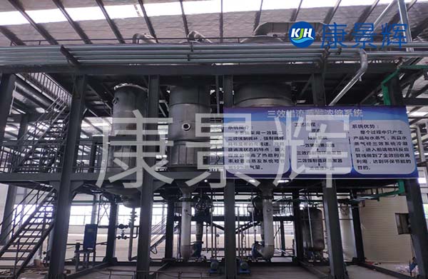 多效降膜蒸發(fā)器可以用來濃縮處理廢水，特別適合處理牛奶、淀粉、葡萄糖等食品廠廢水的加工處理中